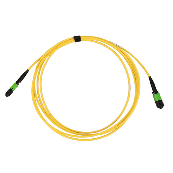 MPO to MPO patch cord front view