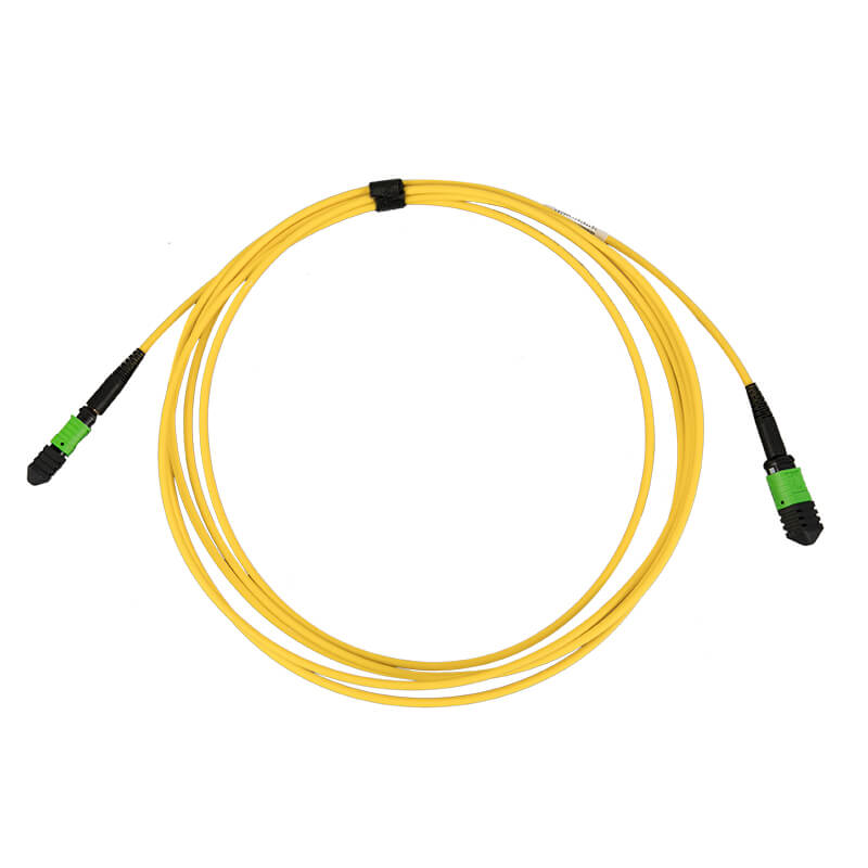 MPO to MPO patch cord front view