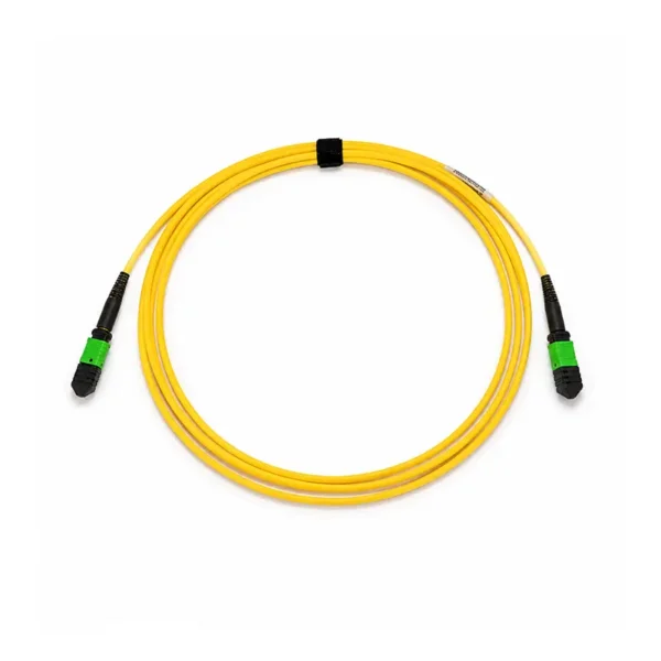 mpo-8 to mpo-8 singlemode pat cable